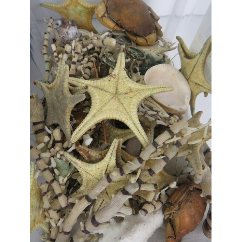 312 - LARGE COLLECTION OF SEASHELLS/CORAL STARFISH, SEAHORSES AND RESIN SCULPTURES ETC