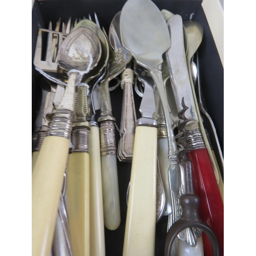 183 - VINTAGE BONE HANDLED CUTLERY TO INCLUDE FISH FORKS, KNIVES, PICKLE FORKS, 6 BOXED BUTTER KNIVES , 6 ... 