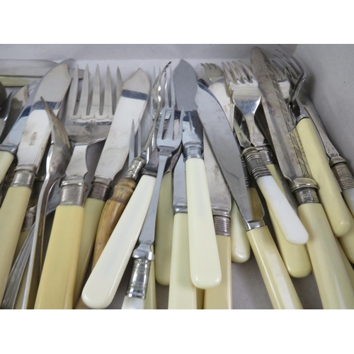 183 - VINTAGE BONE HANDLED CUTLERY TO INCLUDE FISH FORKS, KNIVES, PICKLE FORKS, 6 BOXED BUTTER KNIVES , 6 ... 