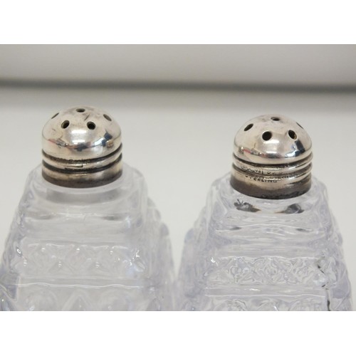 225 - SILVER TOP CUT GLASS SALT AND PEPPER CRUET