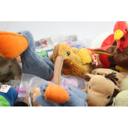 535 - Job Lot Of Assorted TY Beanie Babies SOFT TOYS Inc Labels & Tags Etc