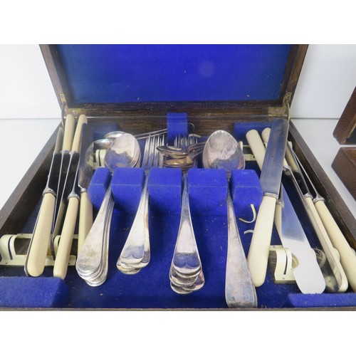 198 - CANTEEN OF CUTLERY (JAMES DEAKIN AND SON SHEFFIELD)- CANTEEN FISH KNIFE AND FORK SET AND A HAND PAIN... 