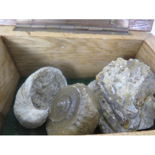 293 - TRAY OF MISCELLANEOUS INCLUDES AMMONITE FOSSILS, THE JAYNAY PAPER TRIMMER, BINOCULARS ETC