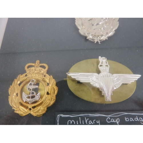 175 - PAIR OF FRAMED CAP BADGES AND WWII MEDALS