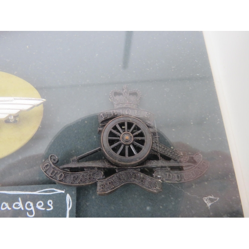 175 - PAIR OF FRAMED CAP BADGES AND WWII MEDALS