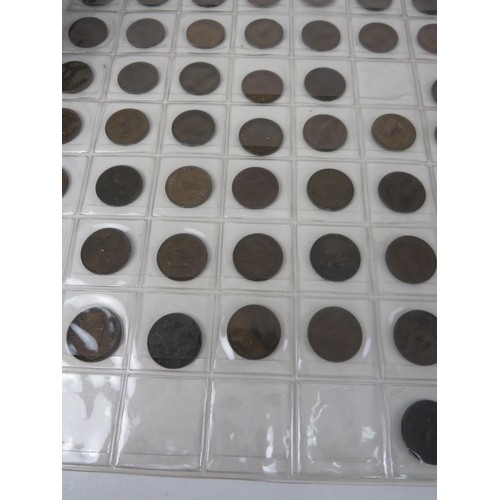 51 - TRAY OF OLD GB COINAGE IN SLEEVES INCLUDES EARLY PENNIES, THREE PENCES etc