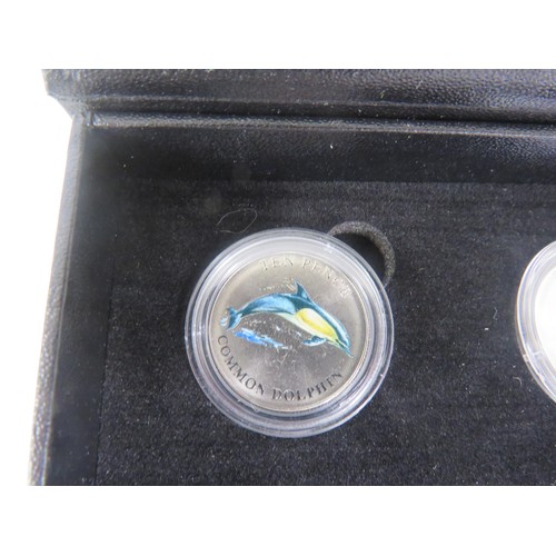 65 - COIN SETS INCLUDES COASTAL WILDFIRE 101 COLLECTION, 2002 COLOURED STATEHEAD QUARTER DOLLARS etc