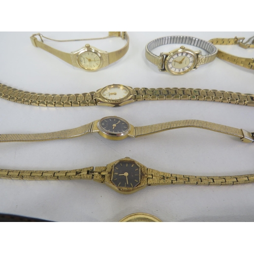 205 - 11 x  ACCURIST WATCHES INCLUDING WATER RESISTANT