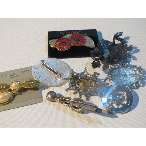 239 - 7 x VINTAGE BROOCHES INCLUDES SCOTTISH, FISH ENAMELS, DAVID SALMON, CARVED MOTHER OF PEARL ETC