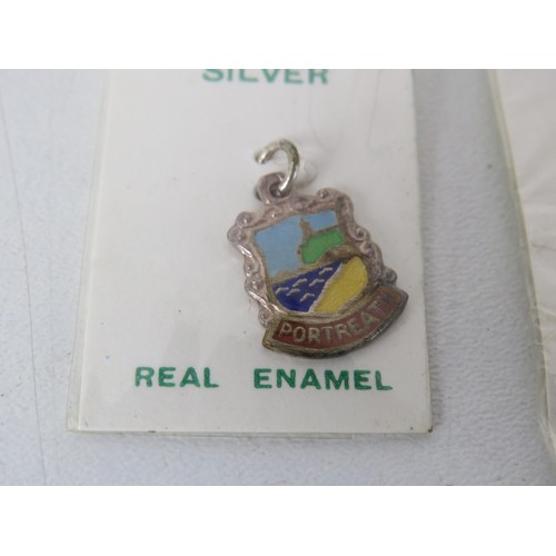 195 - 11 x STERLING SILVER ENAMEL SOUVENIER CHARMS