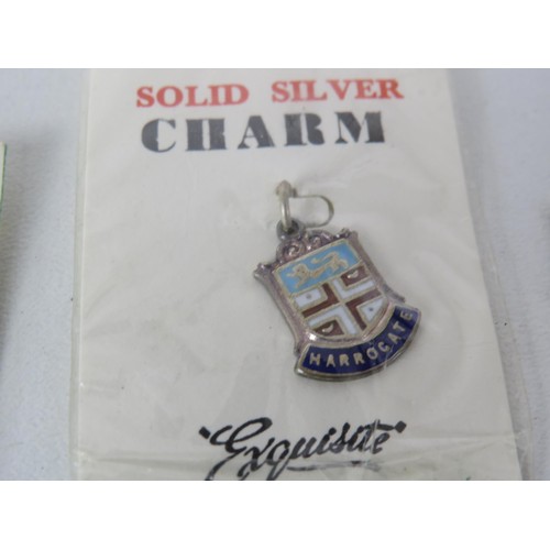 195 - 11 x STERLING SILVER ENAMEL SOUVENIER CHARMS