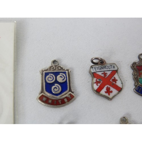 195 - 11 x STERLING SILVER ENAMEL SOUVENIER CHARMS