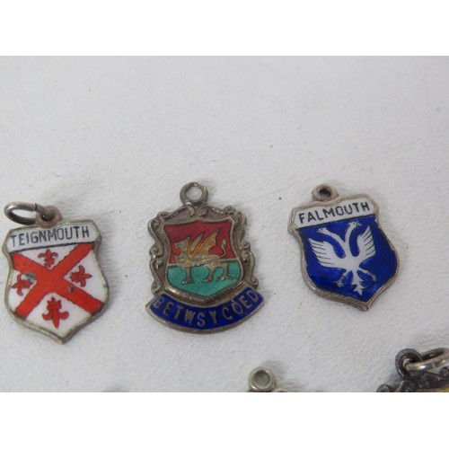 195 - 11 x STERLING SILVER ENAMEL SOUVENIER CHARMS