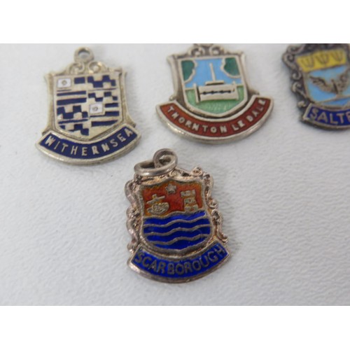 195 - 11 x STERLING SILVER ENAMEL SOUVENIER CHARMS