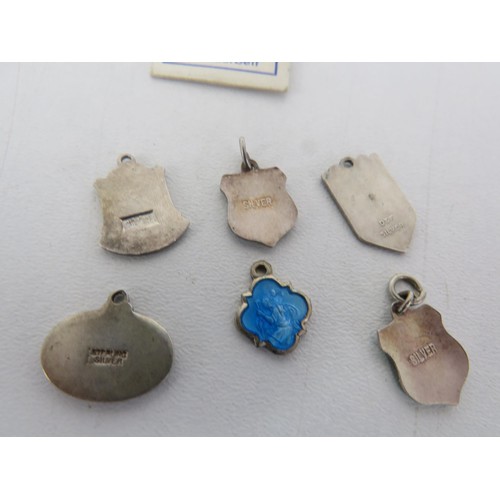 198 - 11 x STERLING SILVER ENAMEL SOUVENIER CHARMS