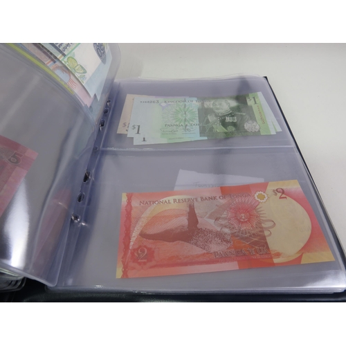 149 - BLUE AND GREEN FOLDER WITH BANKNOTES