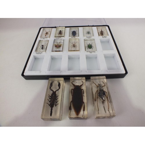 195 - Collection of resin taxidermy insects.