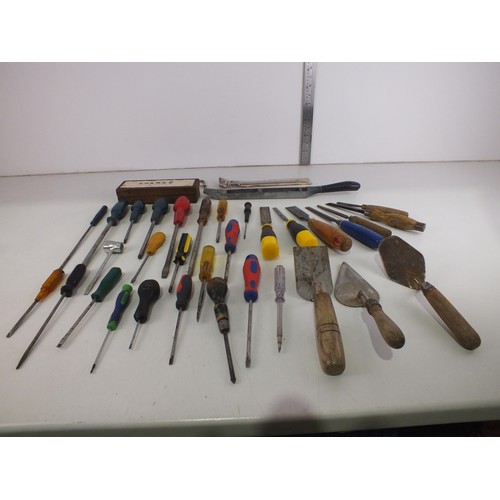 358 - Selection of screwdrivers, chisels, chisel sharpener, rasp, hacksaw, builders trowels etc