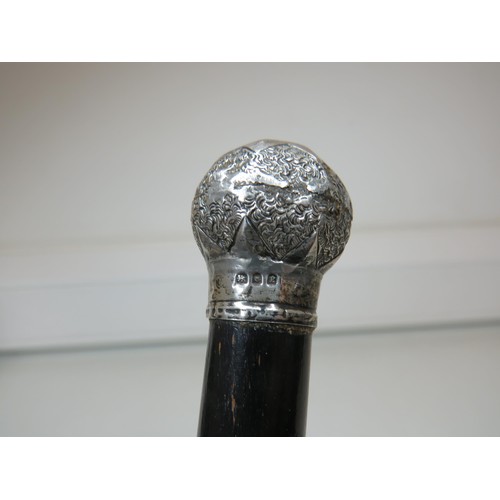 252 - Silver top swagger stick.