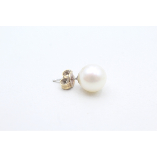 479 - 18ct gold and salt water pearl stud earrings (2.5g)