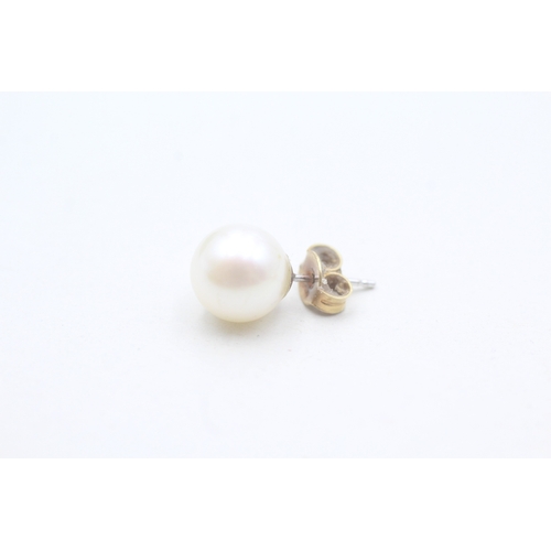 479 - 18ct gold and salt water pearl stud earrings (2.5g)