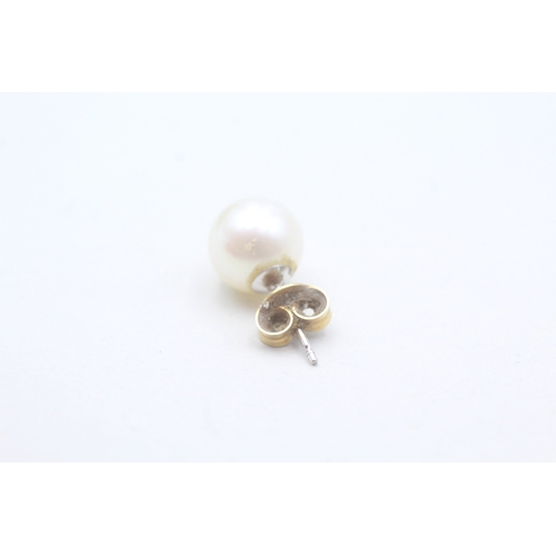 479 - 18ct gold and salt water pearl stud earrings (2.5g)