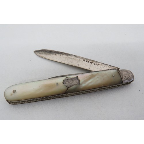 24 - Two mother of pearl sterling silver fruit knives and mother of pearl sterling silver button hook