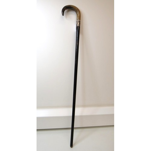 19 - Horn Handled walking stick with silver collar