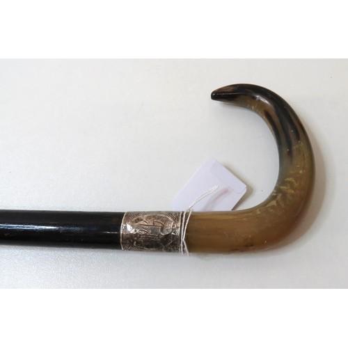 19 - Horn Handled walking stick with silver collar