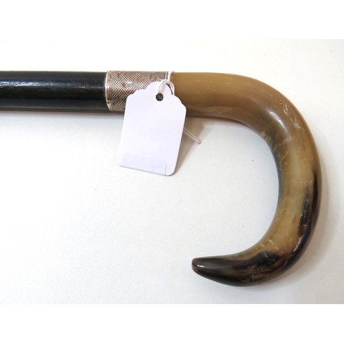 19 - Horn Handled walking stick with silver collar