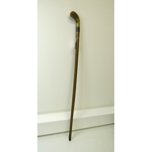 22 - Horn Handled walking stick with silver collar