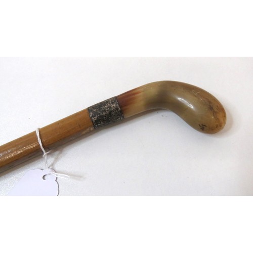 22 - Horn Handled walking stick with silver collar