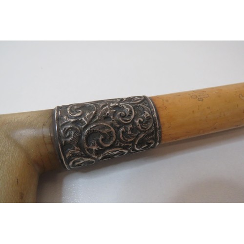 21 - Horn Handled walking stick with silver collar