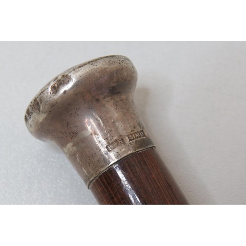 20 - Silver topped walking stick