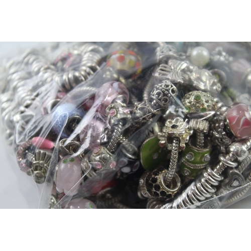 48 - Assortment of Fashion Charm Jewellery inc. Bracelets, Charms 1504g