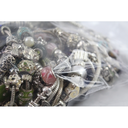 48 - Assortment of Fashion Charm Jewellery inc. Bracelets, Charms 1504g