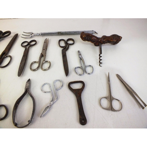 123 - Twenty pairs of various scissors, corkscrews etc