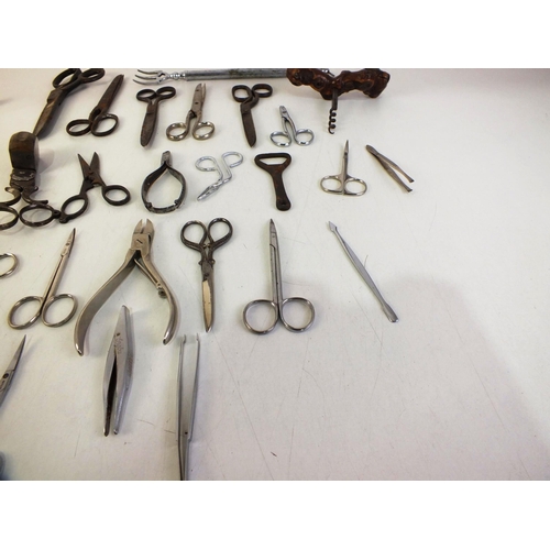 123 - Twenty pairs of various scissors, corkscrews etc