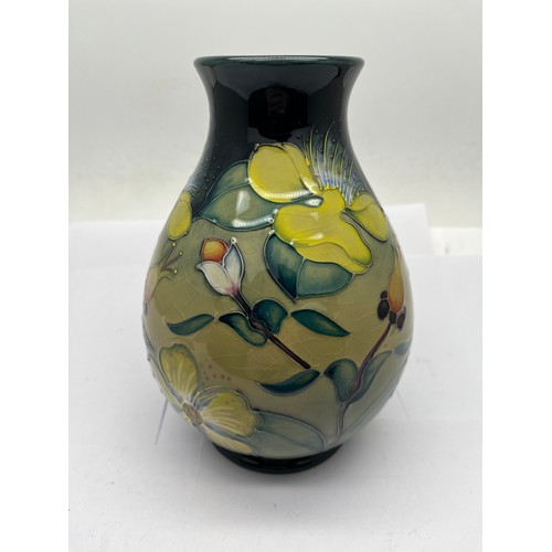 173 - Moorcroft vase 19cm Hypericum pattern.