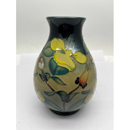 173 - Moorcroft vase 19cm Hypericum pattern.