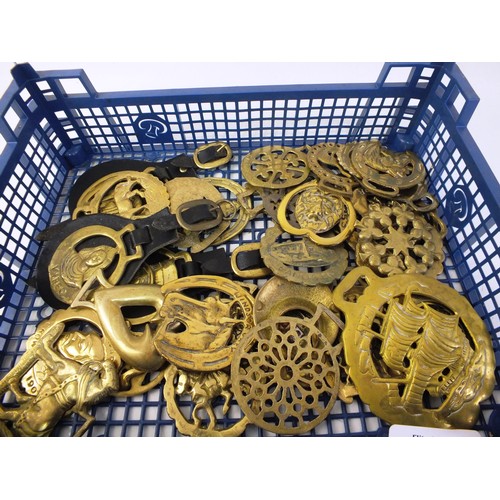 239 - Large collection of horse brasses