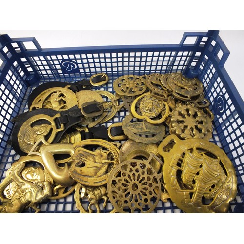 239 - Large collection of horse brasses