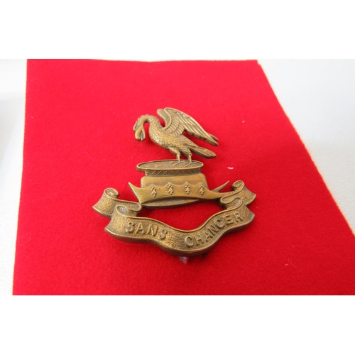 25 - 18 Military Infantry/Corps  badges to inc 
Strike Hawkes
Steady Hoods
RND