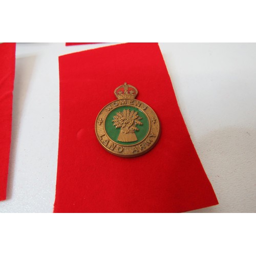 26 - 18 Military  badges to inc 
Nelson
Devonshire
Howe