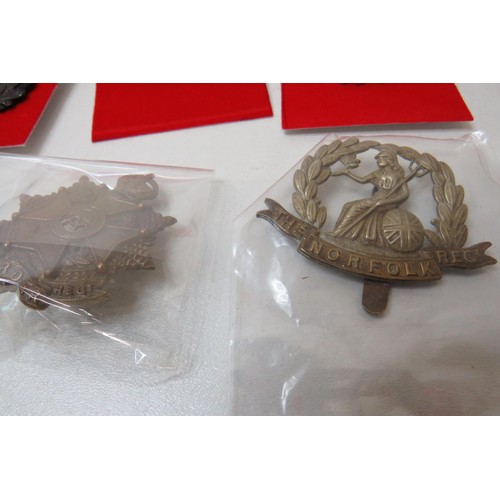 26 - 18 Military  badges to inc 
Nelson
Devonshire
Howe