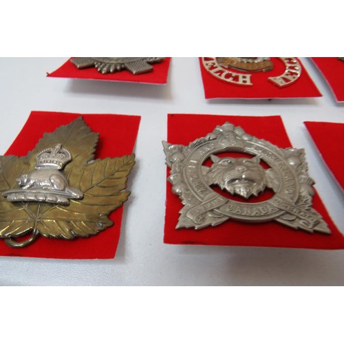 42 - 18 No  military badges inc 
The Royal Regiment of Canada 
The Welch 
Loyal North Lancashire