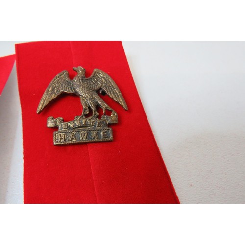 72 - 18 Military Cap/Regimental badges