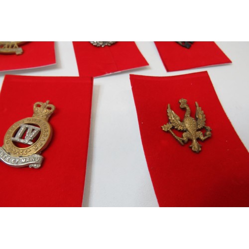 73 - 18 Military Cap/Regimental badges