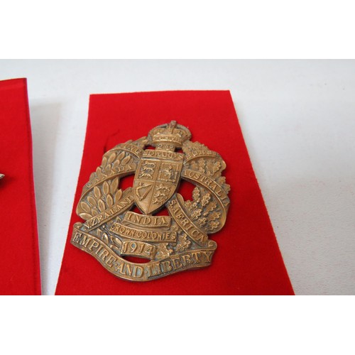 74 - 18 Military Cap/Regimental badges