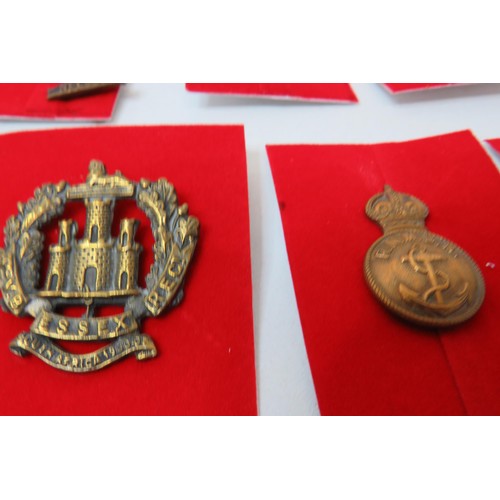 77 - 18 Military Cap/Regimental badges